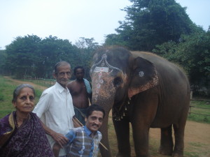 With Thiruvanaikaval temple elephant